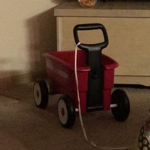 Meet your Posher, Ginger